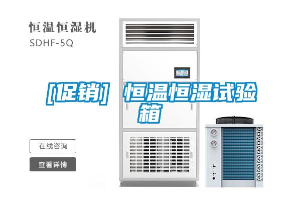 [促銷(xiāo)] 恒溫恒濕試驗箱