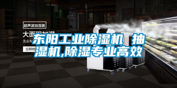 東陽(yáng)工業(yè)除濕機 抽濕機,除濕專(zhuān)業(yè)高效
