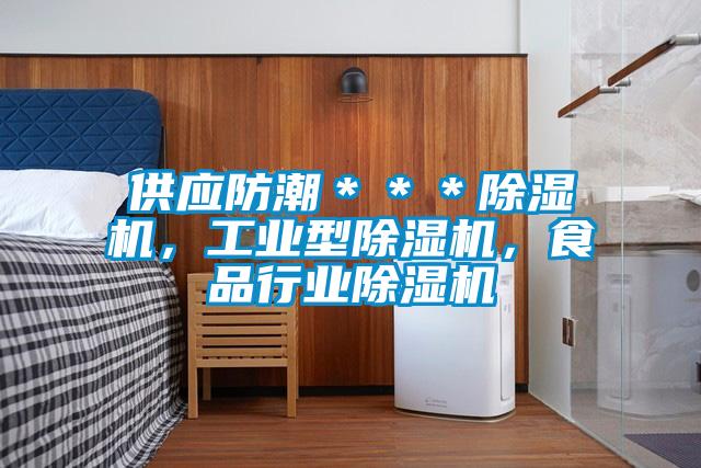 供應防潮＊＊＊除濕機，工業(yè)型除濕機，食品行業(yè)除濕機
