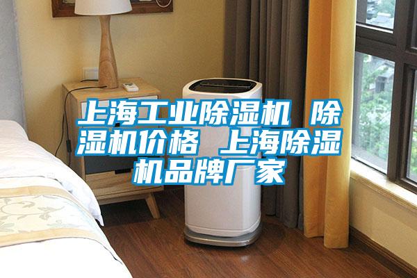 上海工業(yè)除濕機 除濕機價(jià)格 上海除濕機品牌廠(chǎng)家