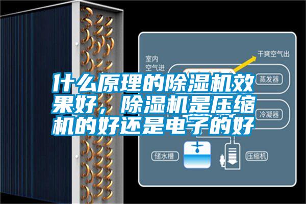 什么原理的除濕機效果好，除濕機是壓縮機的好還是電子的好