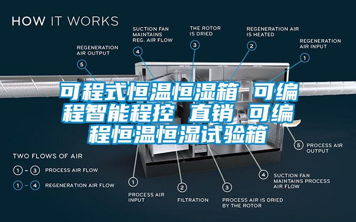 可程式恒溫恒濕箱 可編程智能程控 直銷(xiāo) 可編程恒溫恒濕試驗箱