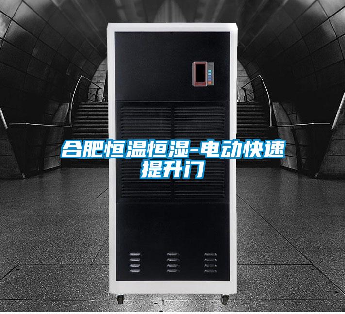 合肥恒溫恒濕-電動(dòng)快速提升門(mén)