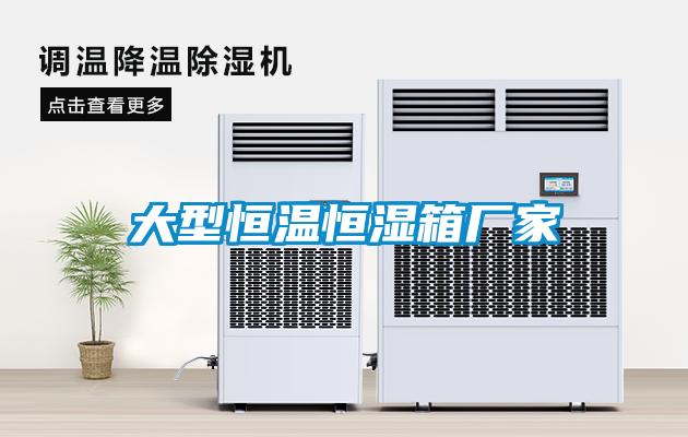 大型恒溫恒濕箱廠(chǎng)家