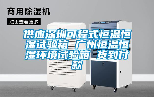 供應深圳可程式恒溫恒濕試驗箱 廣州恒溫恒濕環(huán)境試驗箱 貨到付款
