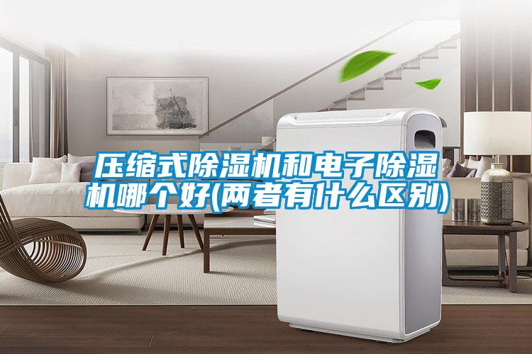 壓縮式除濕機和電子除濕機哪個(gè)好(兩者有什么區別)