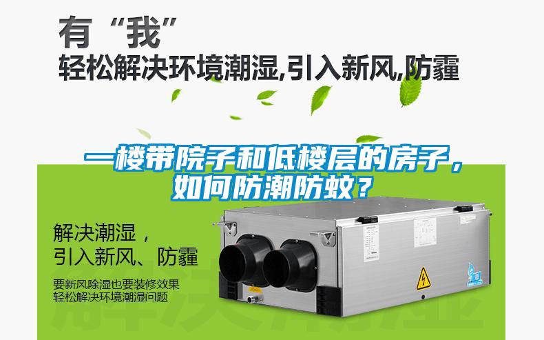 一樓帶院子和低樓層的房子，如何防潮防蚊？