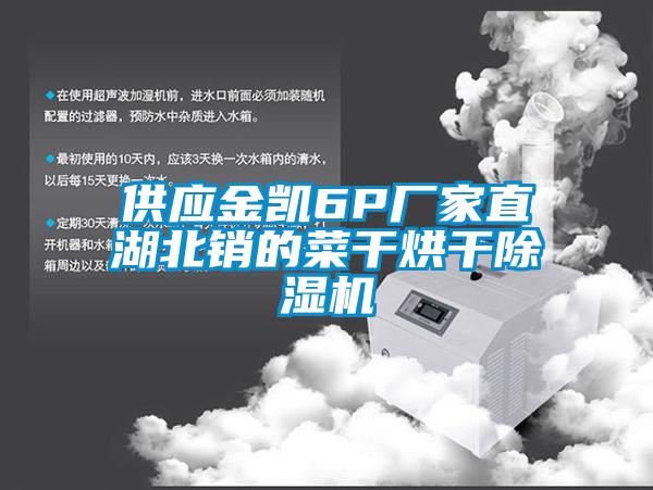 供應金凱6P廠(chǎng)家直湖北銷(xiāo)的菜干烘干除濕機