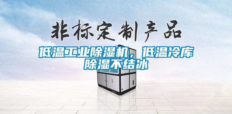 低溫工業(yè)除濕機，低溫冷庫除濕不結冰