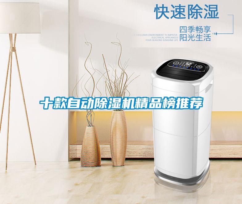 十款自動(dòng)除濕機精品榜推薦