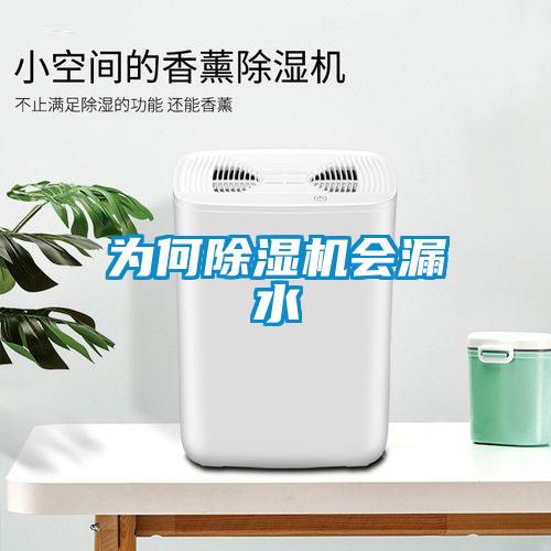 為何除濕機會(huì )漏水