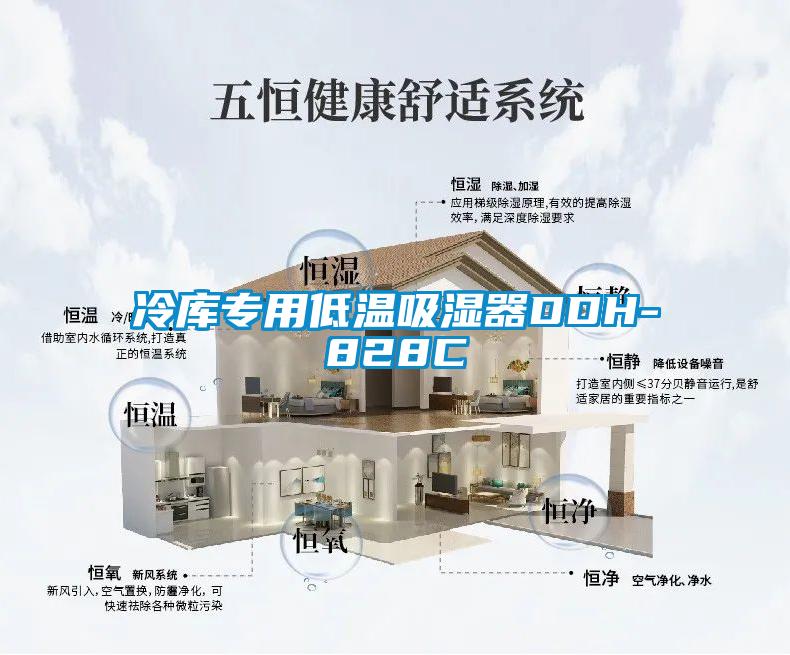 冷庫專(zhuān)用低溫吸濕器DDH-828C