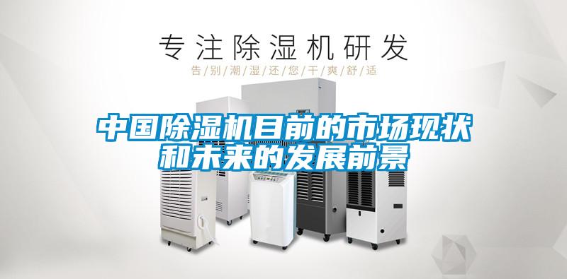 中國除濕機目前的市場(chǎng)現狀和未來(lái)的發(fā)展前景