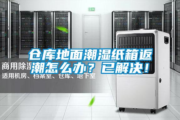 倉庫地面潮濕紙箱返潮怎么辦？已解決！