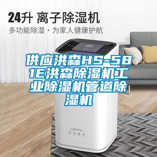 供應洪森HS-581E洪森除濕機工業(yè)除濕機管道除濕機