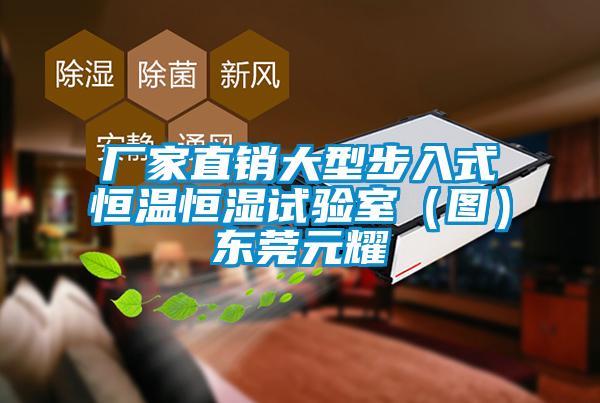 廠(chǎng)家直銷(xiāo)大型步入式恒溫恒濕試驗室（圖）東莞元耀