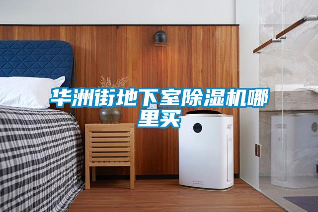 華洲街地下室除濕機哪里買(mǎi)