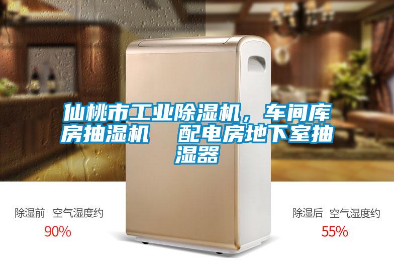 仙桃市工業(yè)除濕機，車(chē)間庫房抽濕機  配電房地下室抽濕器