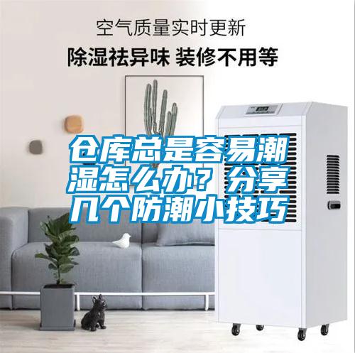 倉庫總是容易潮濕怎么辦？分享幾個(gè)防潮小技巧