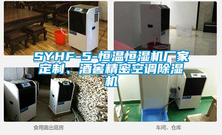 SYHF-5-恒溫恒濕機廠(chǎng)家定制、酒窖精密空調除濕機