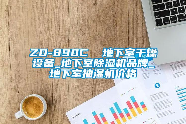ZD-890C  地下室干燥設備_地下室除濕機品牌_地下室抽濕機價(jià)格
