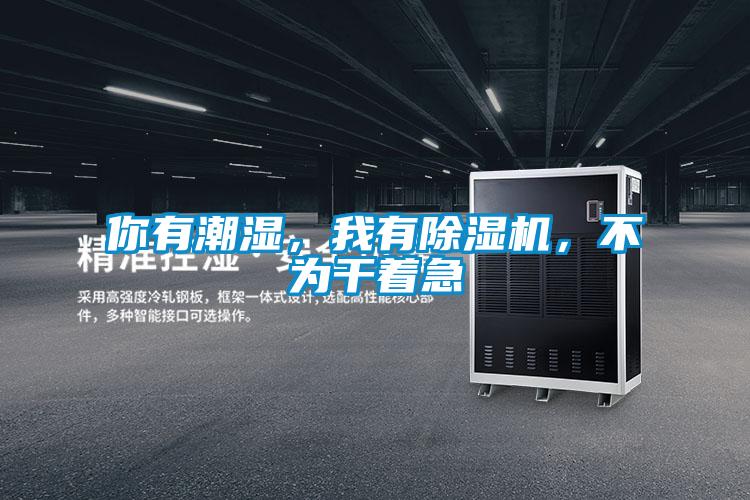 你有潮濕，我有除濕機，不為干著(zhù)急