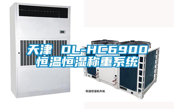 天津 DL-HC6900恒溫恒濕稱(chēng)重系統