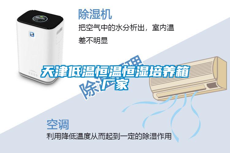 天津低溫恒溫恒濕培養箱廠(chǎng)家