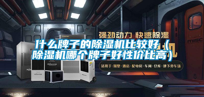 什么牌子的除濕機比較好（除濕機哪個(gè)牌子好性?xún)r(jià)比高）