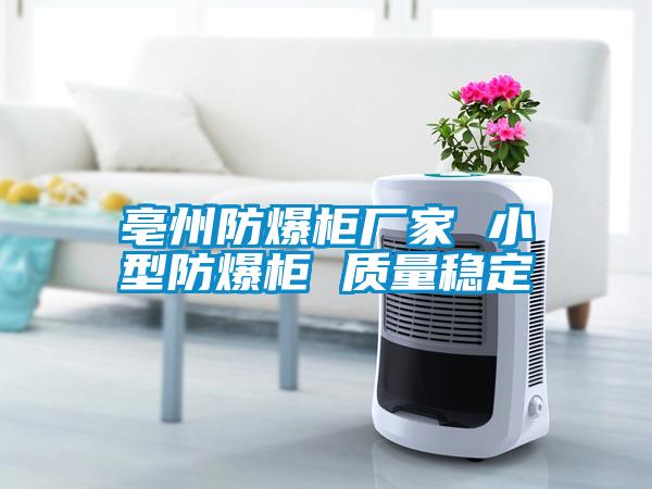 亳州防爆柜廠(chǎng)家 小型防爆柜 質(zhì)量穩定