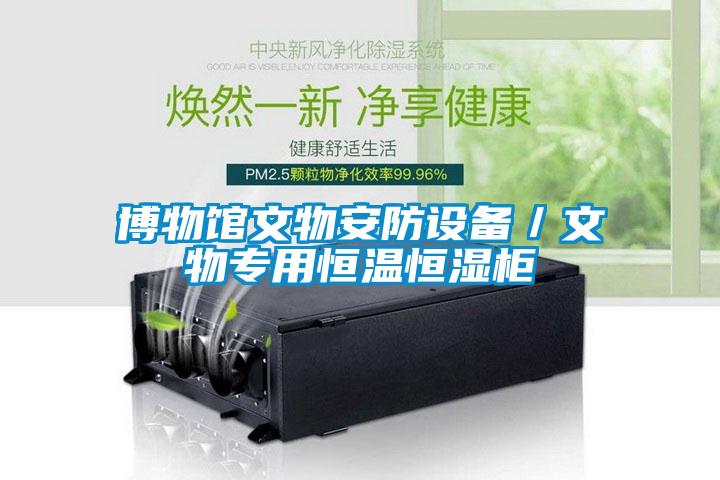 博物館文物安防設備／文物專(zhuān)用恒溫恒濕柜