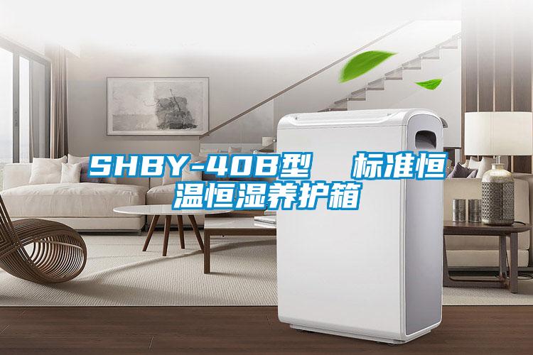 SHBY-40B型  標準恒溫恒濕養護箱
