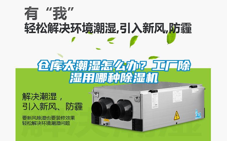 倉庫太潮濕怎么辦？工廠(chǎng)除濕用哪種除濕機