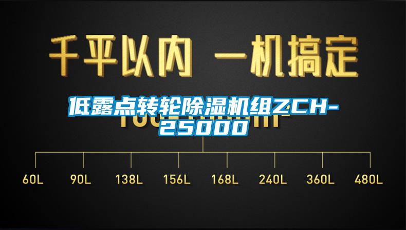 低露點(diǎn)轉輪除濕機組ZCH-25000