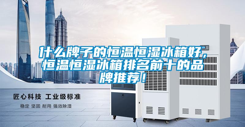 什么牌子的恒溫恒濕冰箱好，恒溫恒濕冰箱排名前十的品牌推薦！