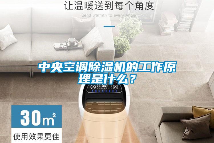 中央空調除濕機的工作原理是什么？