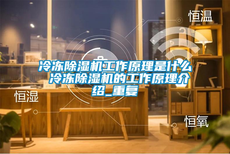冷凍除濕機工作原理是什么 冷凍除濕機的工作原理介紹_重復