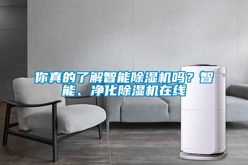你真的了解智能除濕機嗎？智能、凈化除濕機在線(xiàn)