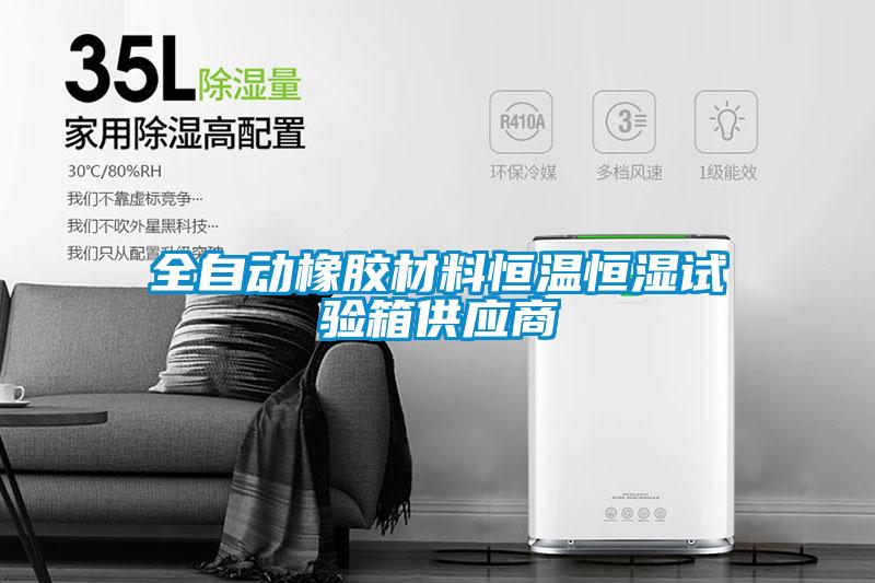 全自動(dòng)橡膠材料恒溫恒濕試驗箱供應商