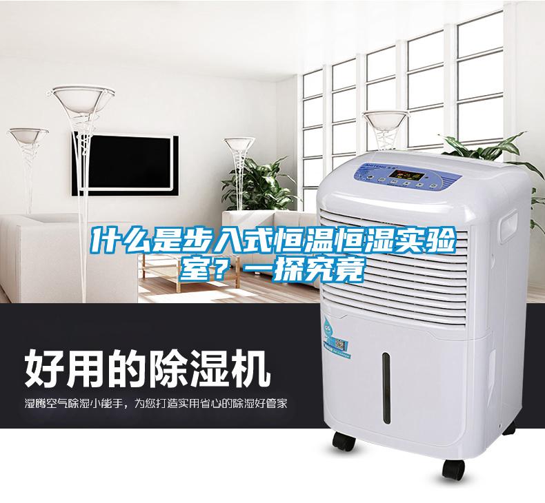 什么是步入式恒溫恒濕實(shí)驗室？一探究竟