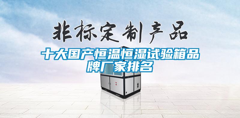 十大國產(chǎn)恒溫恒濕試驗箱品牌廠(chǎng)家排名