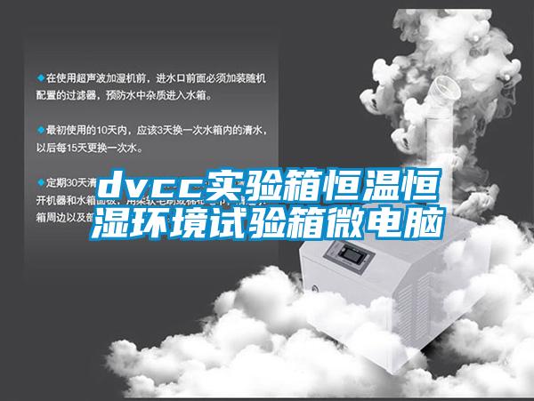 dvcc實(shí)驗箱恒溫恒濕環(huán)境試驗箱微電腦