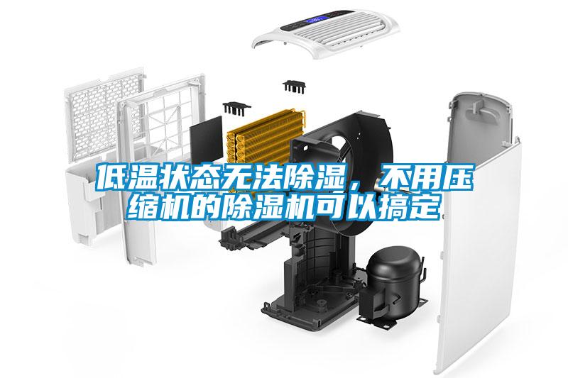 低溫狀態(tài)無(wú)法除濕，不用壓縮機的除濕機可以搞定