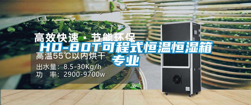 HD-80T可程式恒溫恒濕箱專(zhuān)業(yè)