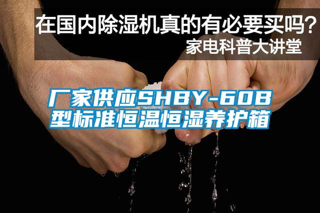 廠(chǎng)家供應SHBY-60B型標準恒溫恒濕養護箱