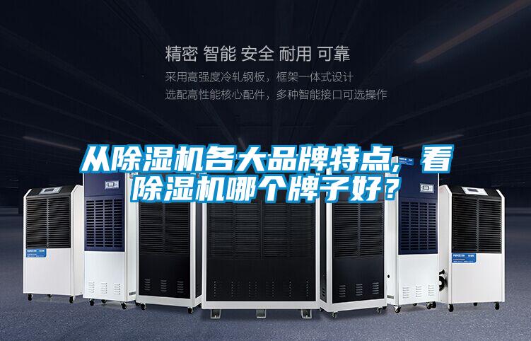 從除濕機各大品牌特點(diǎn), 看除濕機哪個(gè)牌子好？