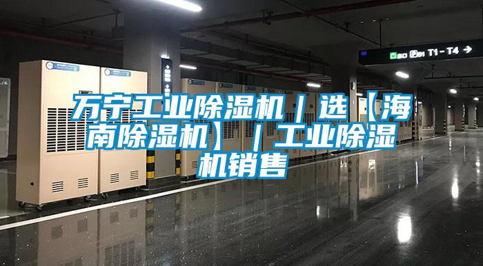 萬(wàn)寧工業(yè)除濕機｜選【海南除濕機】｜工業(yè)除濕機銷(xiāo)售
