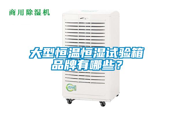 大型恒溫恒濕試驗箱品牌有哪些？