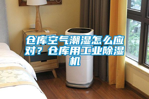 倉庫空氣潮濕怎么應對？倉庫用工業(yè)除濕機