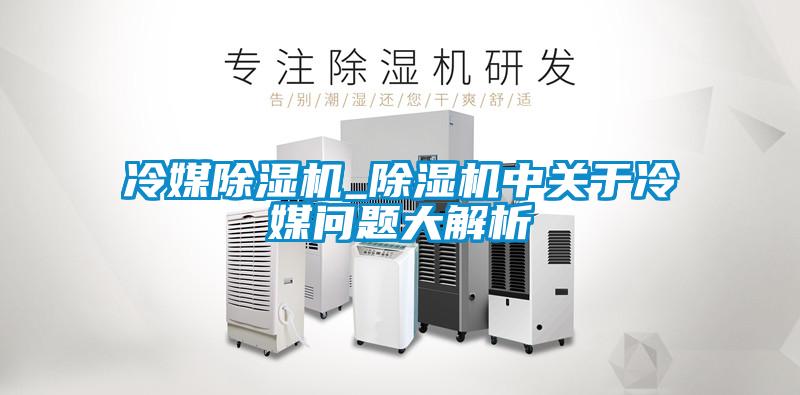 冷媒除濕機_除濕機中關(guān)于冷媒問(wèn)題大解析